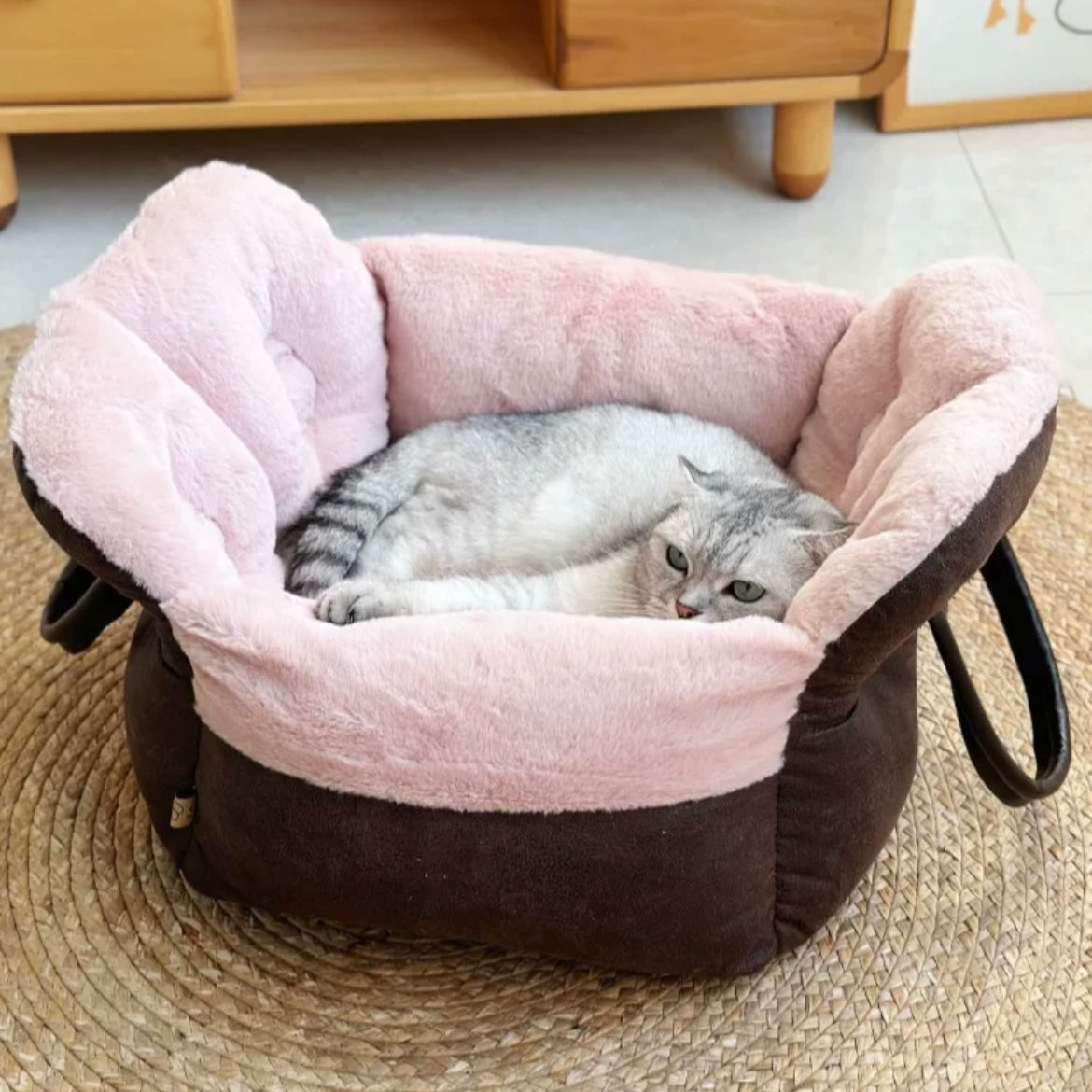 Cat Bed Portable