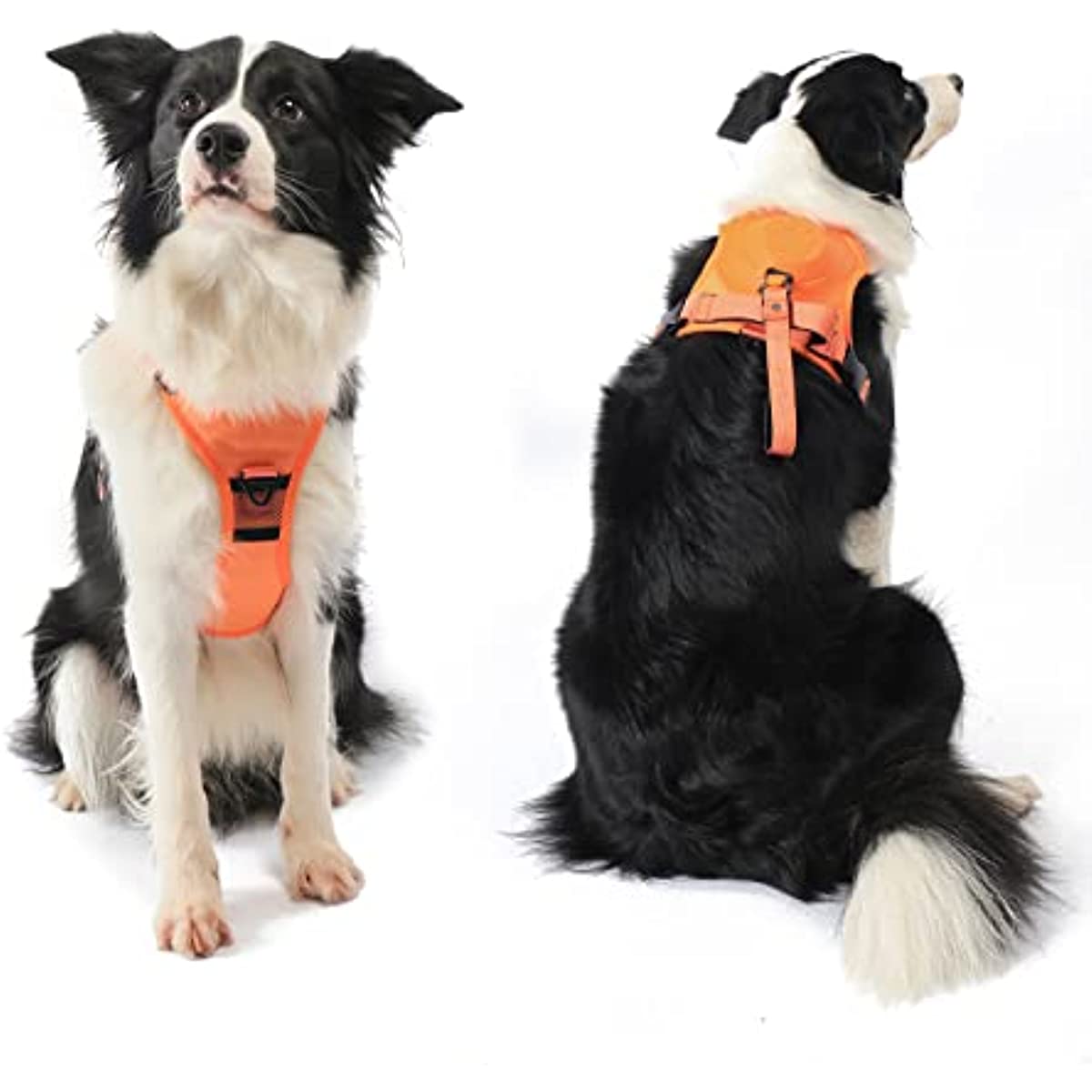 Dog Harness and Built-in Retractable Leash