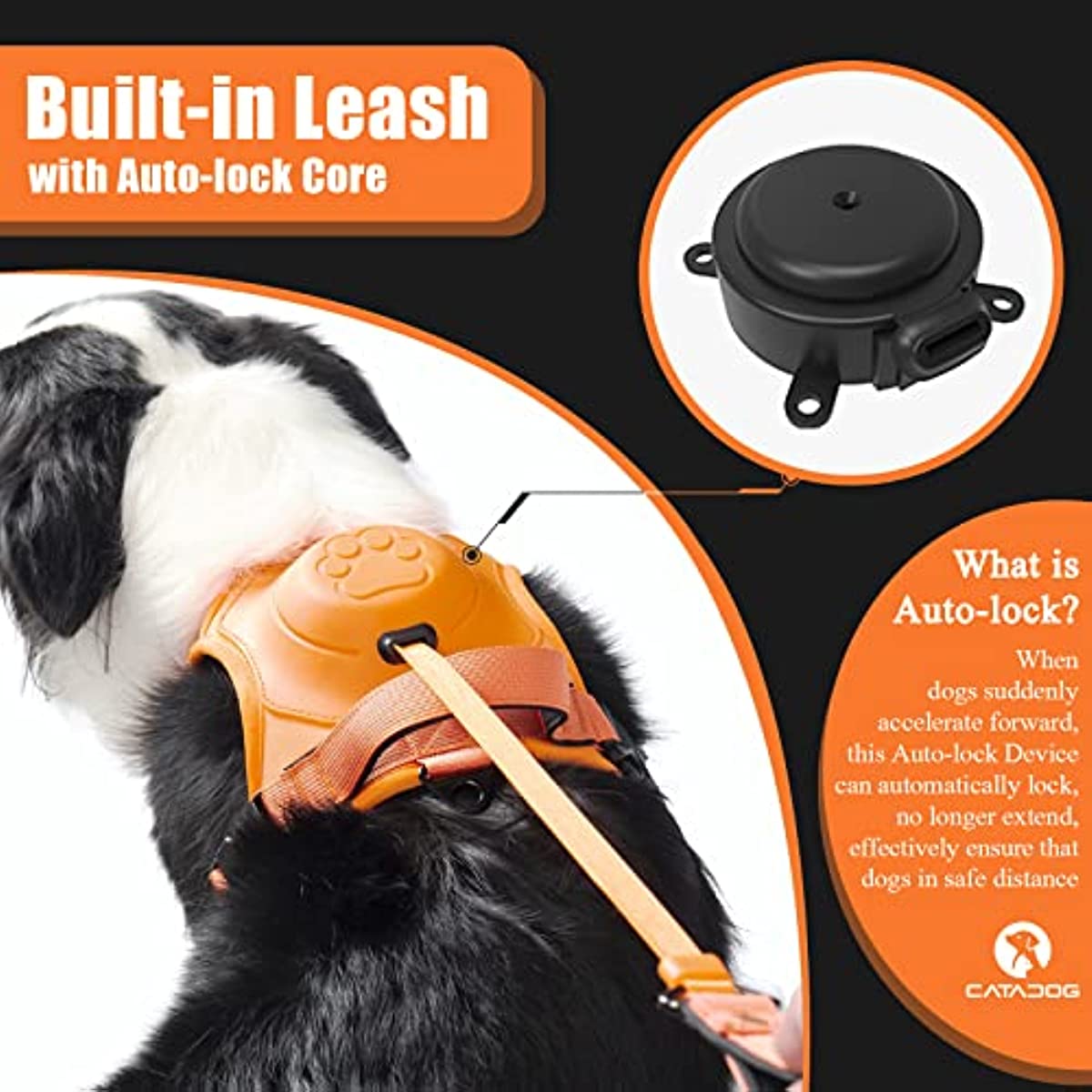 Dog Harness and Built-in Retractable Leash