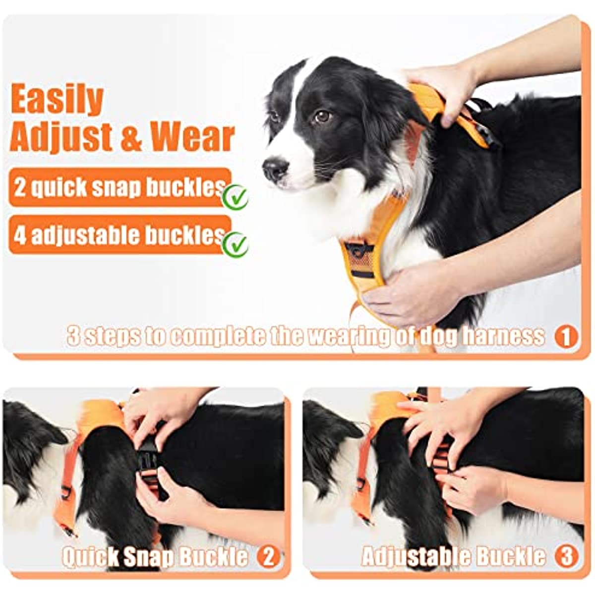 Dog Harness and Built-in Retractable Leash