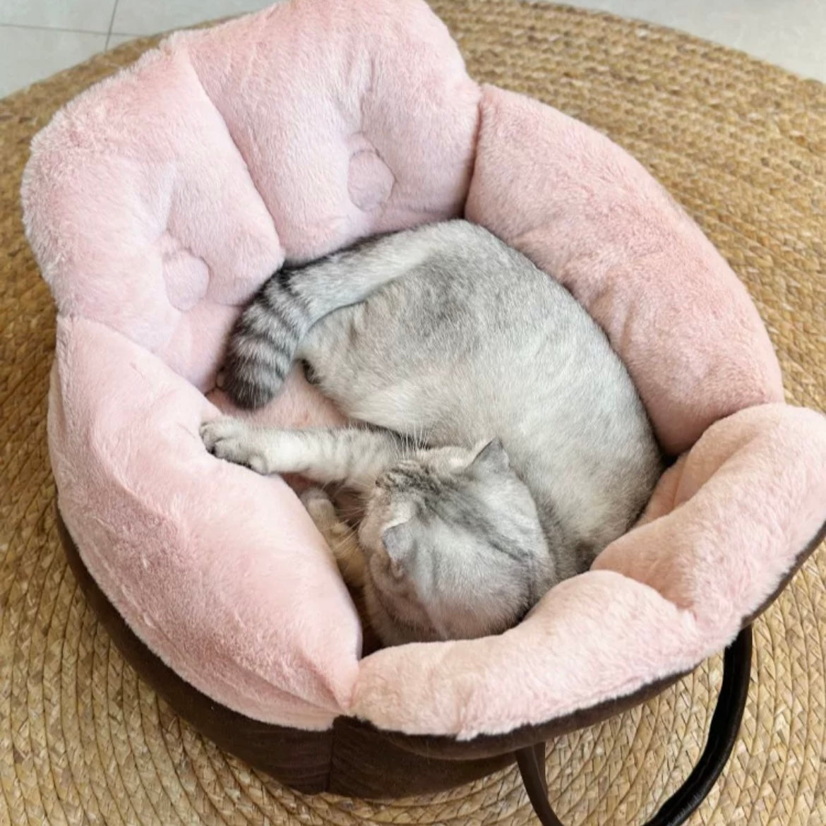 Cat Bed Portable