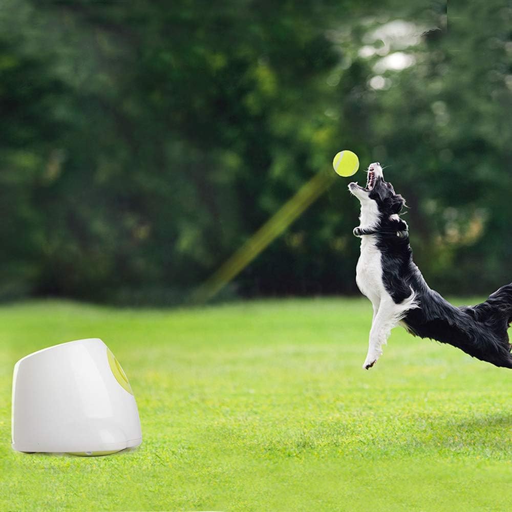 Interactive Dog Automatic Ball Launcher