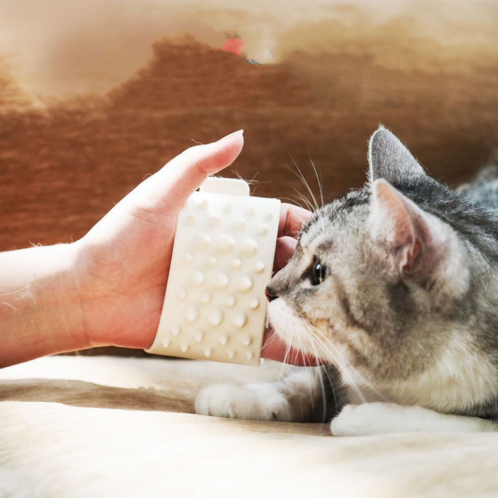 Pet Hair Gloves