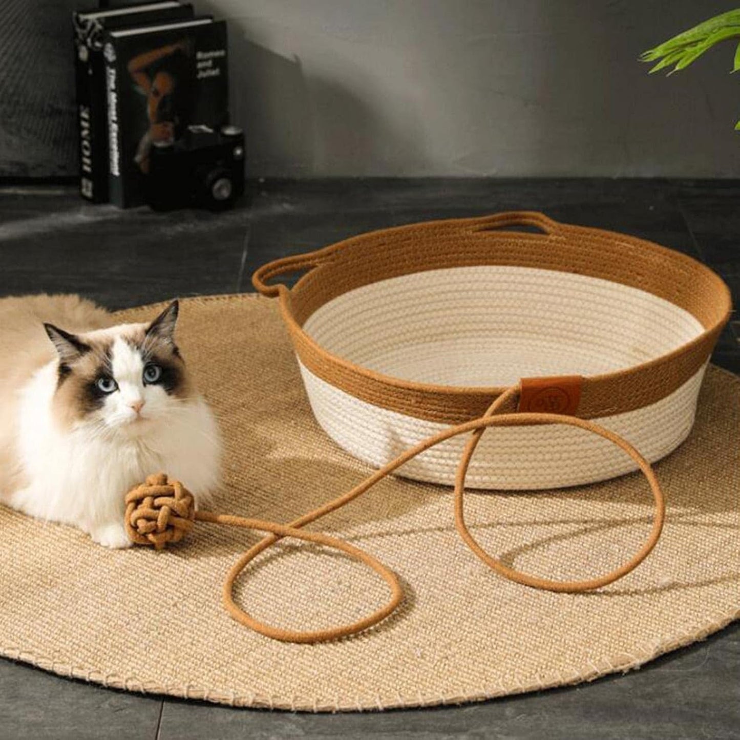 Sofa Bed, Furniture Protector Scratch Pad for Resting and Playing Cats, Medium