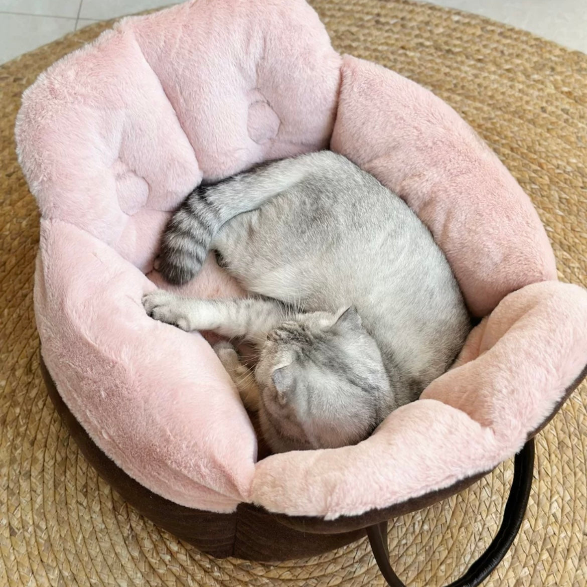 Cat Bed Portable