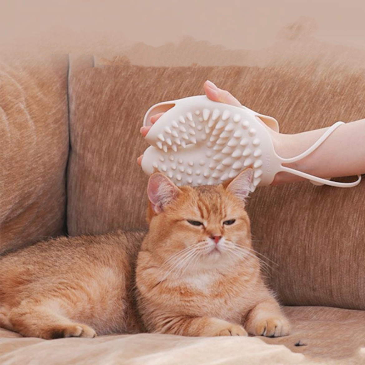 2 in 1 Pet Hair Glove