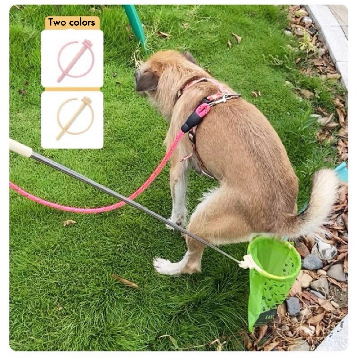 Dog Poop Catcher