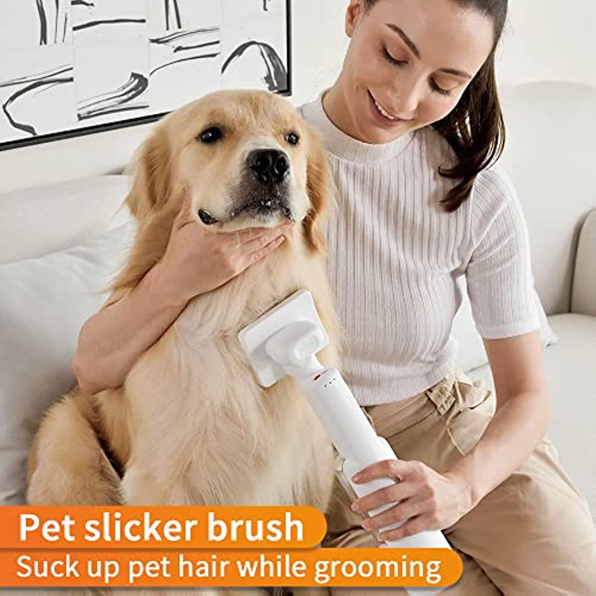 Pet hair Vacuum Cleaner