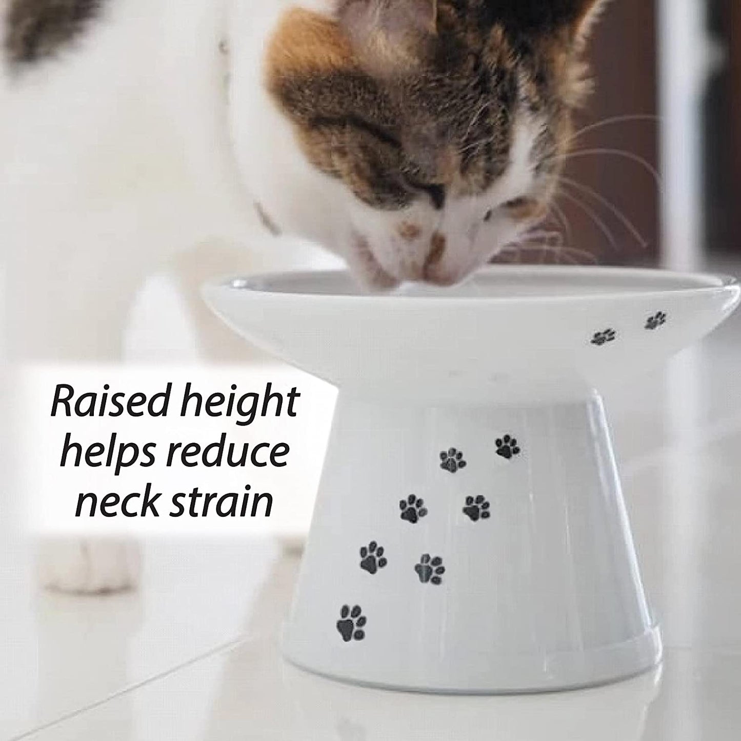 Wide Raised Cat Food Bowl