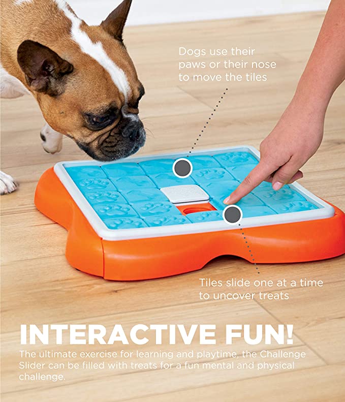 Juguete interactivo para perros MultiPuzzle