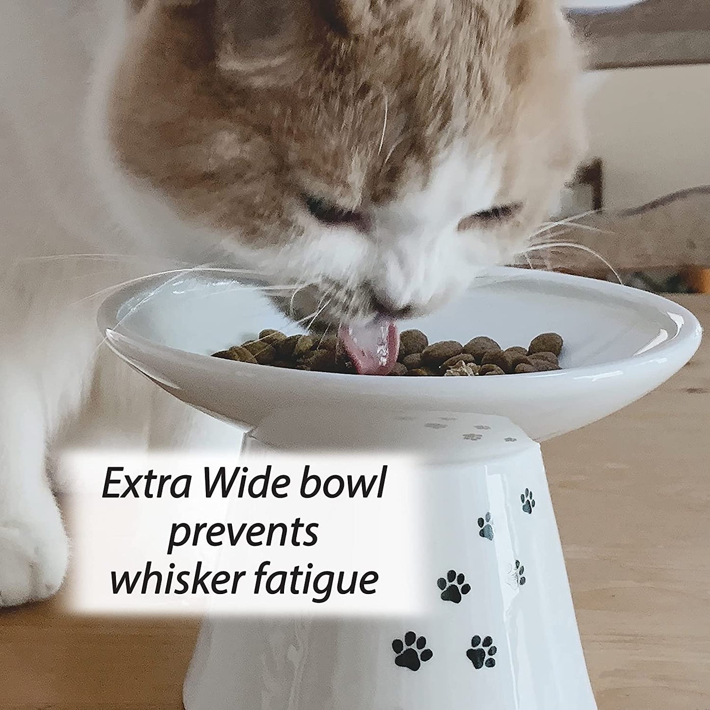 Wide Raised Cat Food Bowl