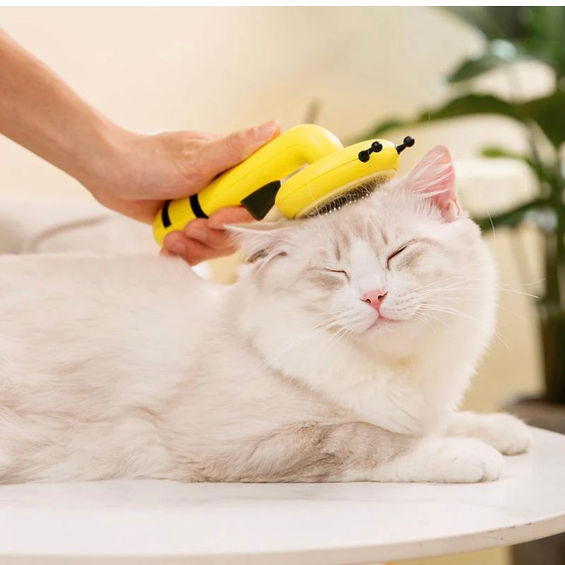 Bee Hair Removal comb