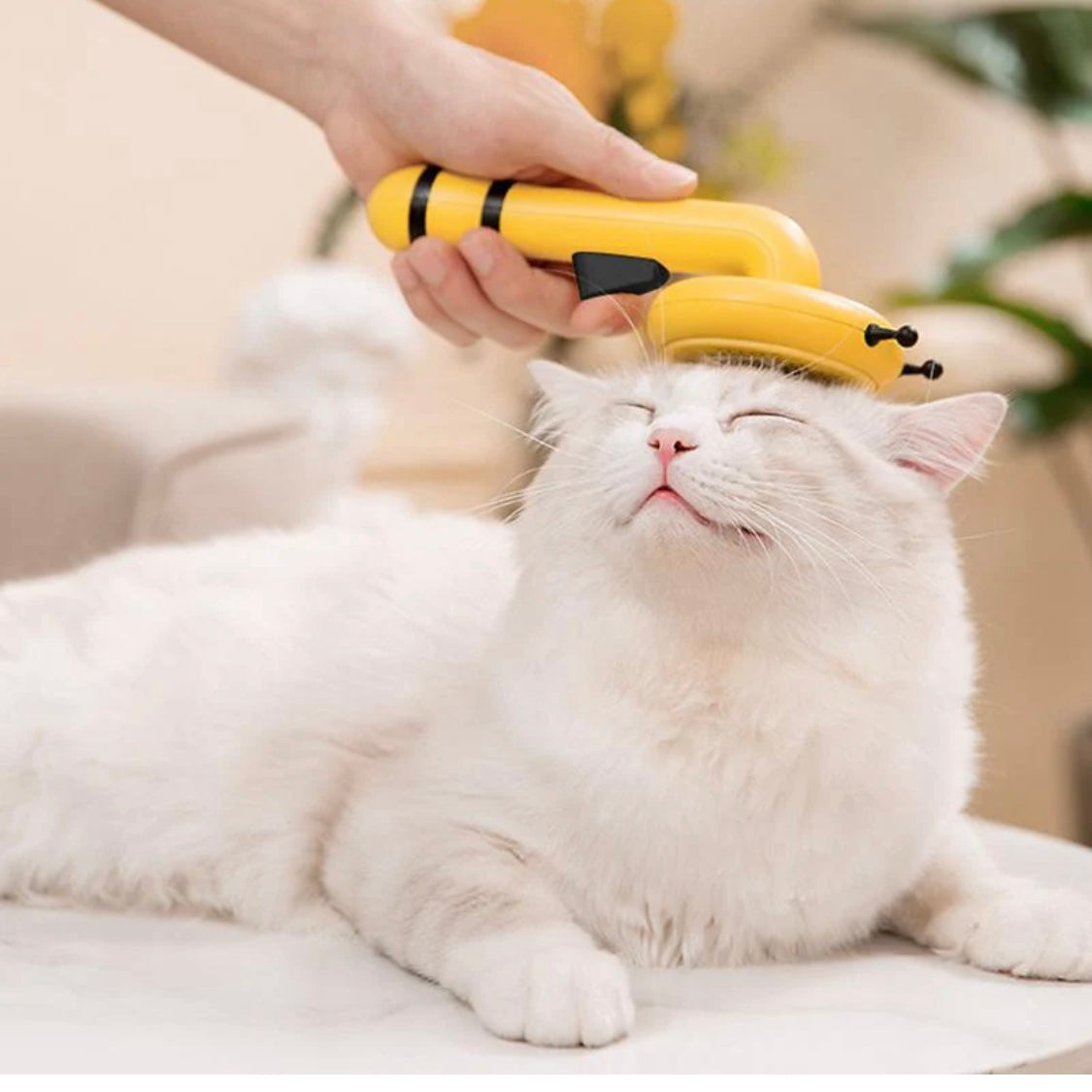 Bee Hair Removal comb