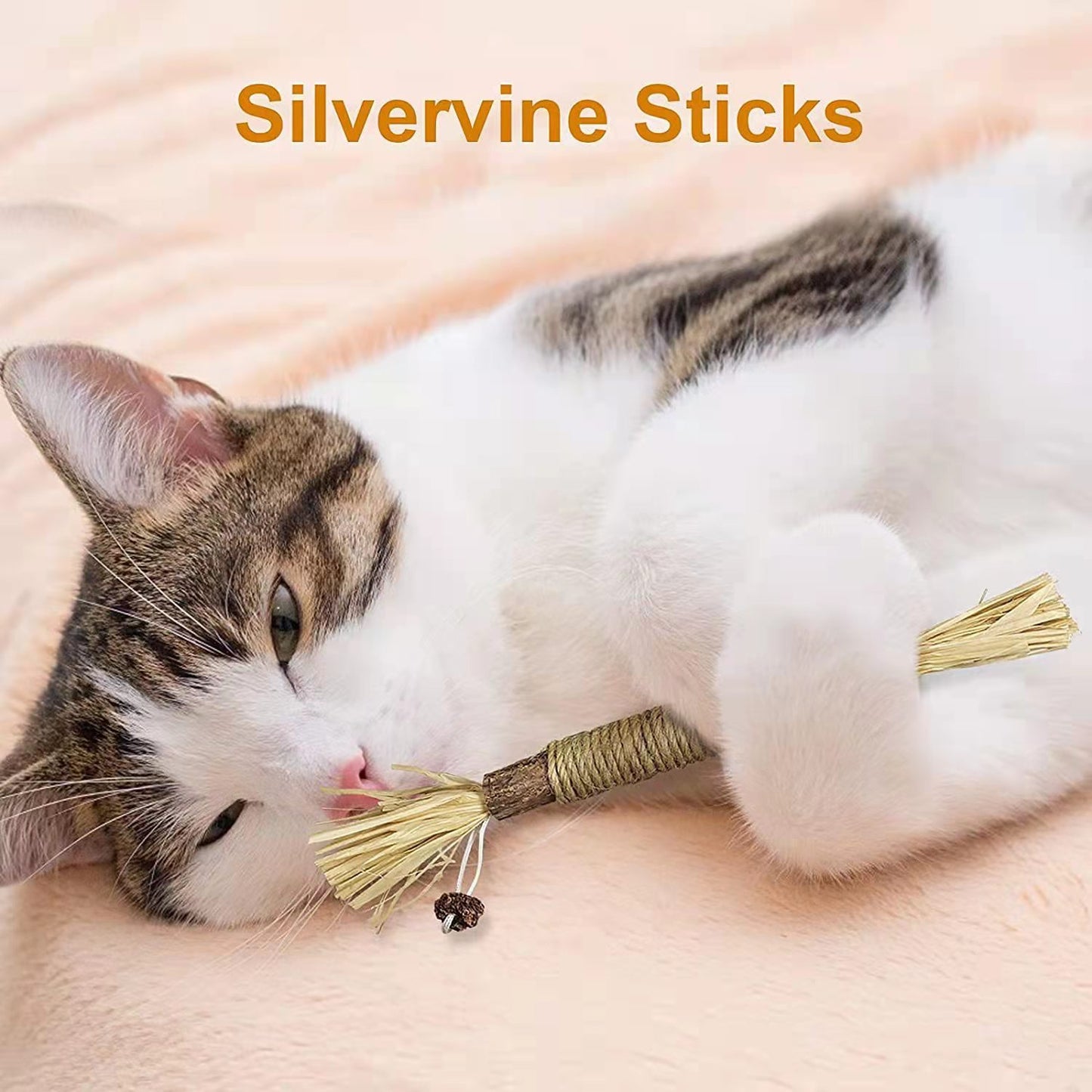 ألعاب القطط Silvervine Chew Stick