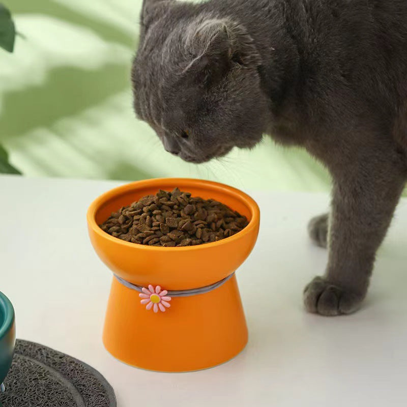 Cuenco de cerámica para gato