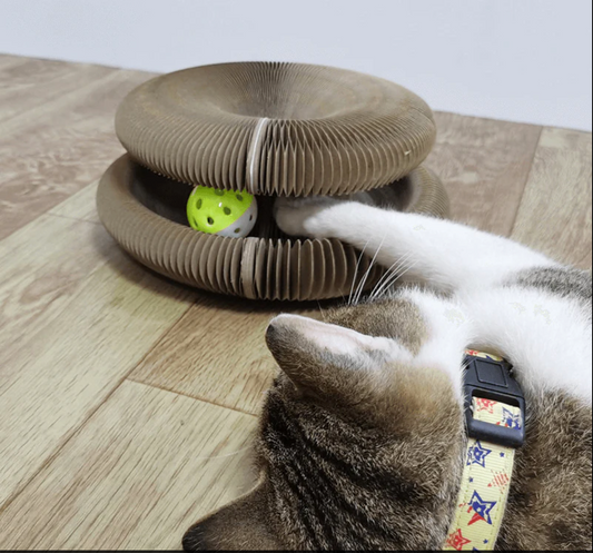 Magic Organ Cat Scratching Board With Playing Ball