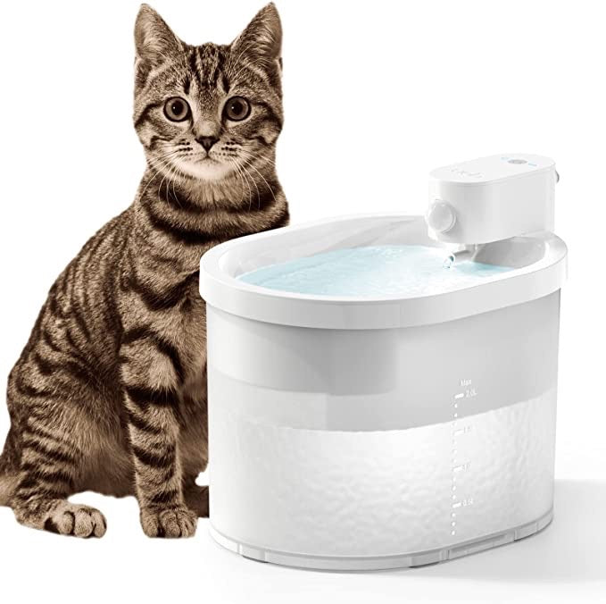 Cat Water Fountain